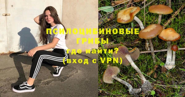хмурый Балахна