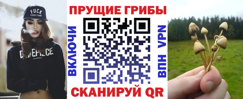 Галлюциногенные грибы Psilocybine cubensis  Купить  Россошь 